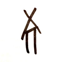 Tenoverall
