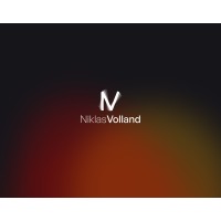 Niklas Volland - KI-Unternehmensberatung logo - Similar company to Bytabo® - Digital Crew