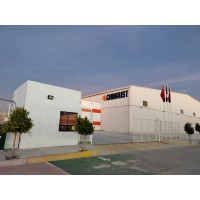 Chinaust Mexico Automotive Puebla logo - Similar company to Schuler Mexico