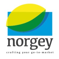Norgey logo - Similar company to Micro Mobility Systems D Gmbh