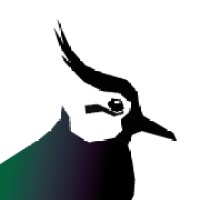 Lapwing Education logo - Similar company to Type 2 Detectives