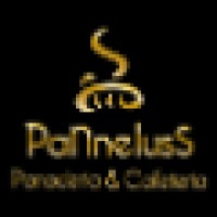 Panneluss Franchise S.L.