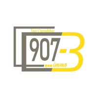 907-B IMMO logo - Similar company to Echomorph Architecture