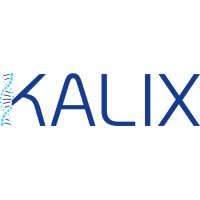 Kalix logo - Similar company to Kalix