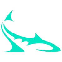 Shark Ship logo - Similar company to Shipshark