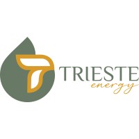 Trieste Energy logo - Similar company to Ergosaúde