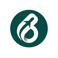 BeingTravelr logo - Similar company to Webaion Technologies