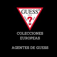 Colecciones Europeas logo - Similar company to Virginia González