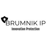 Brumnik IP logo - Similar company to 24Ip Law Group