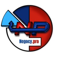 negocy.pro logo - Similar company to Pragmait