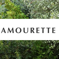 Restaurant Amourette Paris-Passy logo - Similar company to Speak
