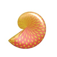 Nautilus Hearing Solutions logo - Similar company to Ironhawks Technologies