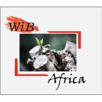 WiB Africa logo - Similar company to Wib Group