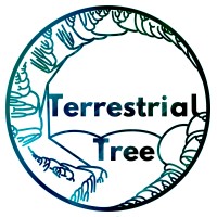 Terrestrial Tree