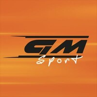 Team GM Sport logo - Similar company to Kronos Fun Cup