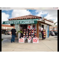 Fresh Cut Flowers logo - Similar company to Fleurametz