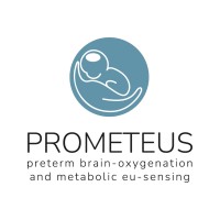 prometeus_prj logo - Similar company to Dipartimento Di Fisica E Astronomia 