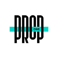 Propone logo - Similar company to Skn Data Science Management