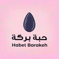 Habet Barakeh logo - Similar company to Visual Laundry