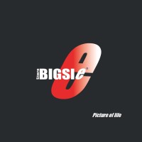 Bigsie Store logo - Similar company to Cunda Technologies