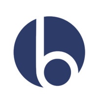 Bluestone Network Solutions logo - Similar company to Affable It