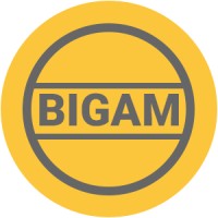 Betting Interactive Games logo - Similar company to Makemy.Bet