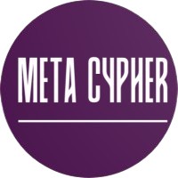 Meta Cypher Resources Group LLC logo - Similar company to Metasupport