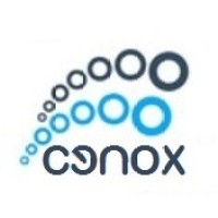Cenox Solutions logo - Similar company to Epos Cubed