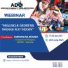 African Disability Collaboration logo - Similar company to Bright Start Foundation