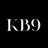 KB9 logo - Similar company to Kb9 Techno Solutions