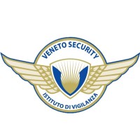 Veneto Security S.r.l. logo - Similar company to Alexa Safety & Security