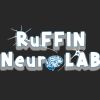 Ruffin NeuroLab logo - Similar company to The College On Problems Of Drug Dependence, Inc.