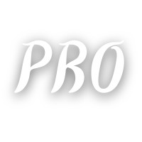 Pro logo - Similar company to Pro Marketing