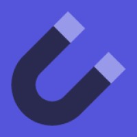 Magnetism MDPI logo - Similar company to Solids Mdpi