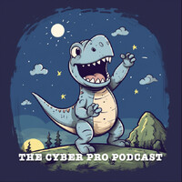 The Cyber Pro Podcast logo - Similar company to Cloud Security News
