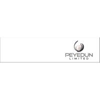 Peyedun Limited logo - Similar company to Me