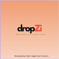 dropZi logo - Similar company to Bubblestack