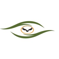 Visible Techs logo - Similar company to Saluki