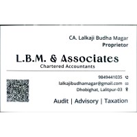 L.B.M. & Associates logo - Similar company to Amatya Advisors