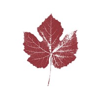 Agralia logo - Similar company to Silo Ciment Sl