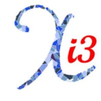 Xi3 Consulting Pte Ltd logo - Similar company to Capable Company