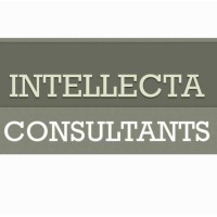 Intellecta Consultants logo - Similar company to Lssr