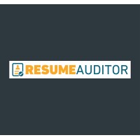 Resume Auditor logo - Similar company to Resumeai
