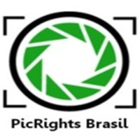PicRights Brasil logo - Similar company to Picrights Europe Gmbh