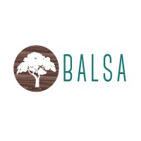 The BALSA Group logo - Similar company to Wisolve Consulting Group