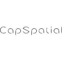 CapSpatial logo - Similar company to Rapidex Solutions