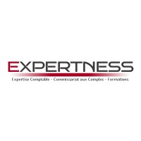 EXPERTNESS - Expertise Comptable & CAC logo - Similar company to Kl2 Expertise.Comptable
