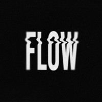 Flow logo - Similar company to Señor Tendero