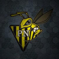 FC Progrès Niederkorn🐝 logo - Similar company to Yanns