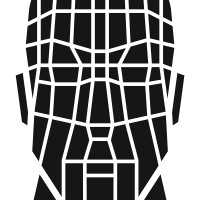 StoneLock Facial Biometrics logo - Similar company to Binary Fortress Software